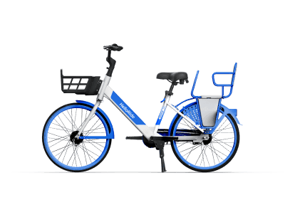 Family Bike